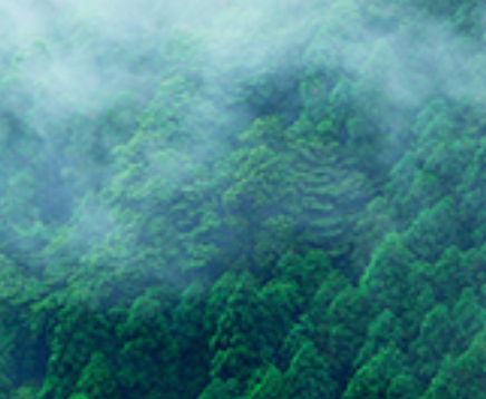 电子雾化设备odm的相关问题解答